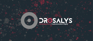 illustration drosalys agence web